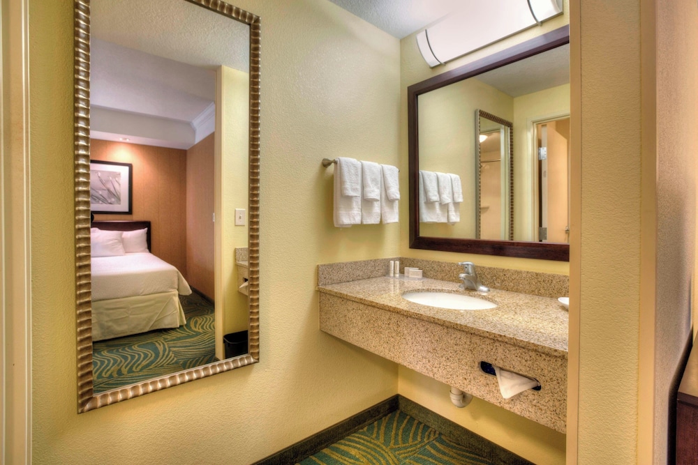 Springhill Suites by Marriott Tampa Brandon - photo 8