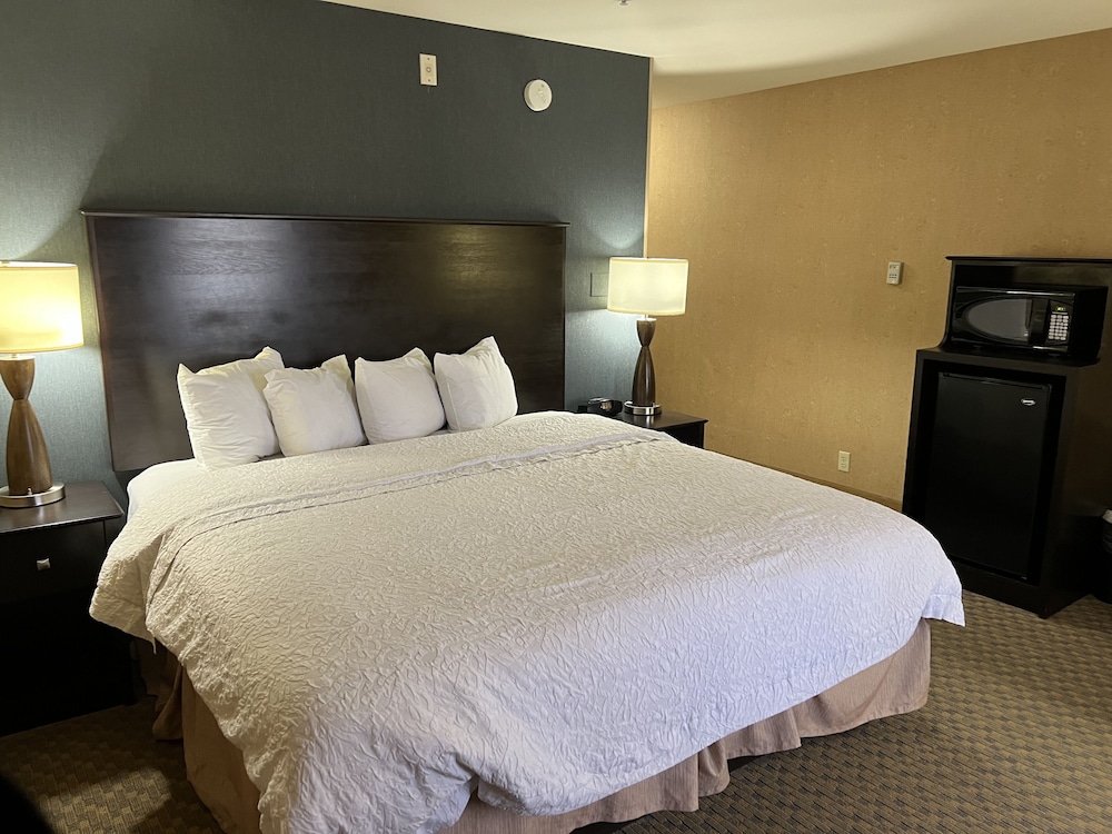 Hampton Inn & Suites Barstow - photo 16