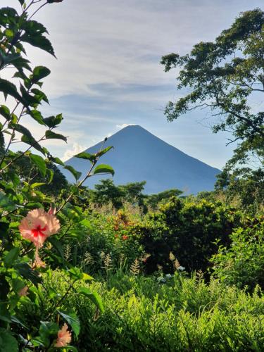 El Encanto Garden Hotel in Unknown City, Nicaragua