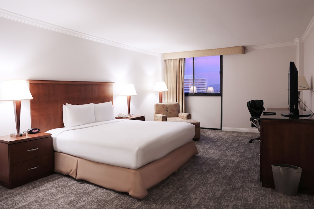 Ontario Airport Hotel & Conference Center - photo 10