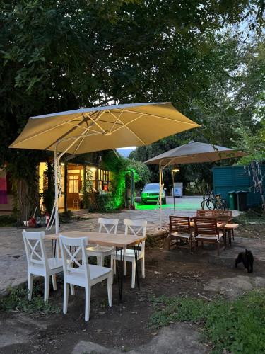 Phaselis EKOPark - carbon neutral hotel in Kemer