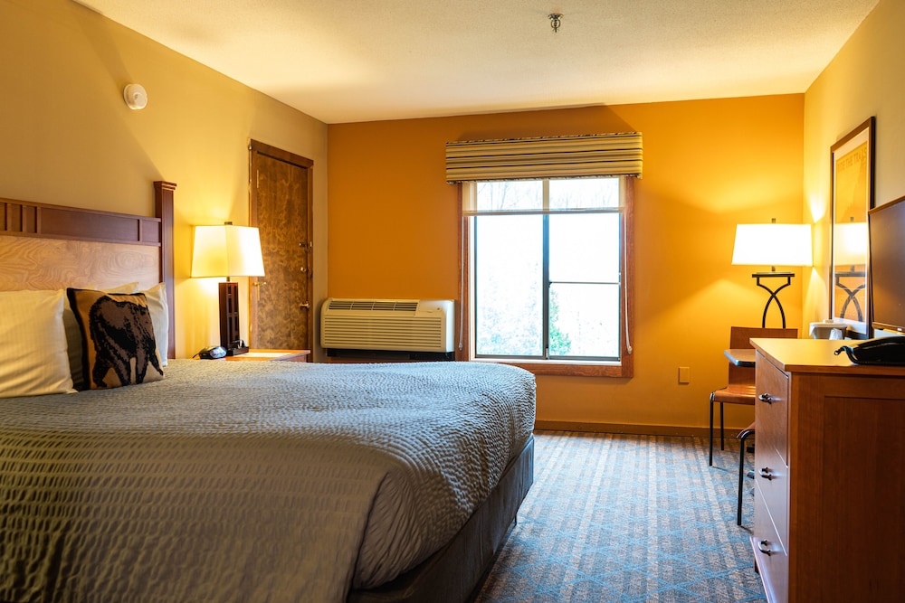 The Black Bear Lodge at Stratton Mountain Resort - photo 9