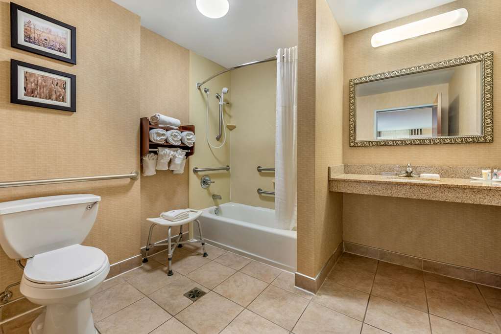 Comfort Suites Elkhart South - photo 5
