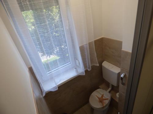 Bega Apartman — Barcs — photo 3