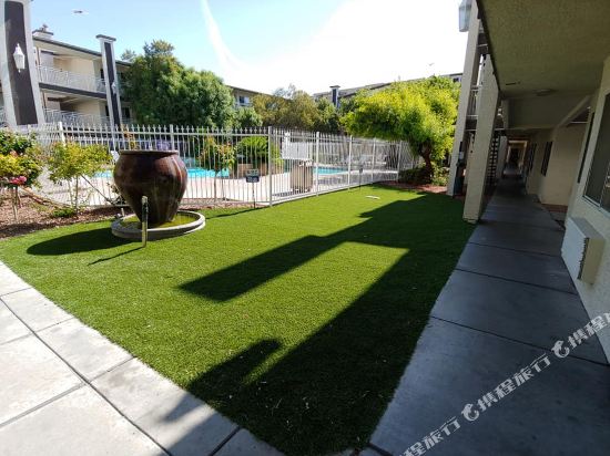 Manor Suites - photo 9