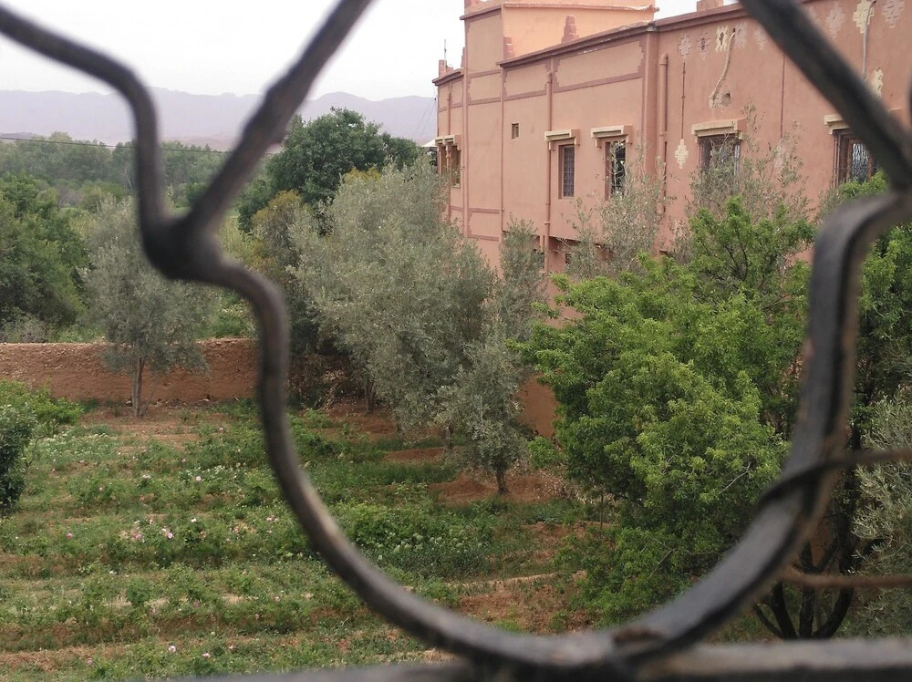 Mandar Saghrou Tazakht
