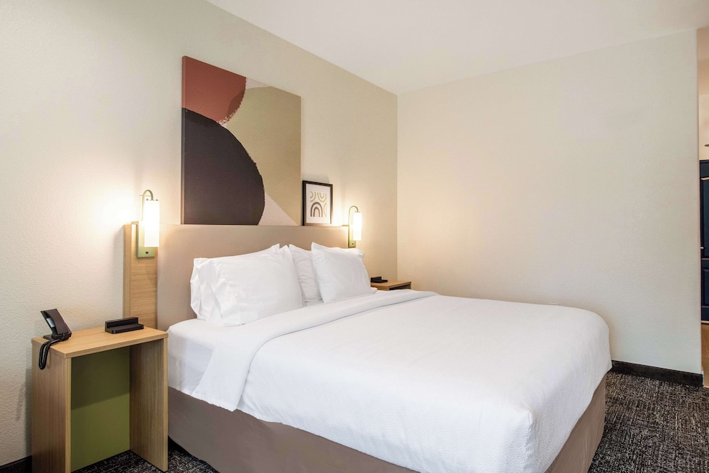 Spark by Hilton Missouri City - photo 14