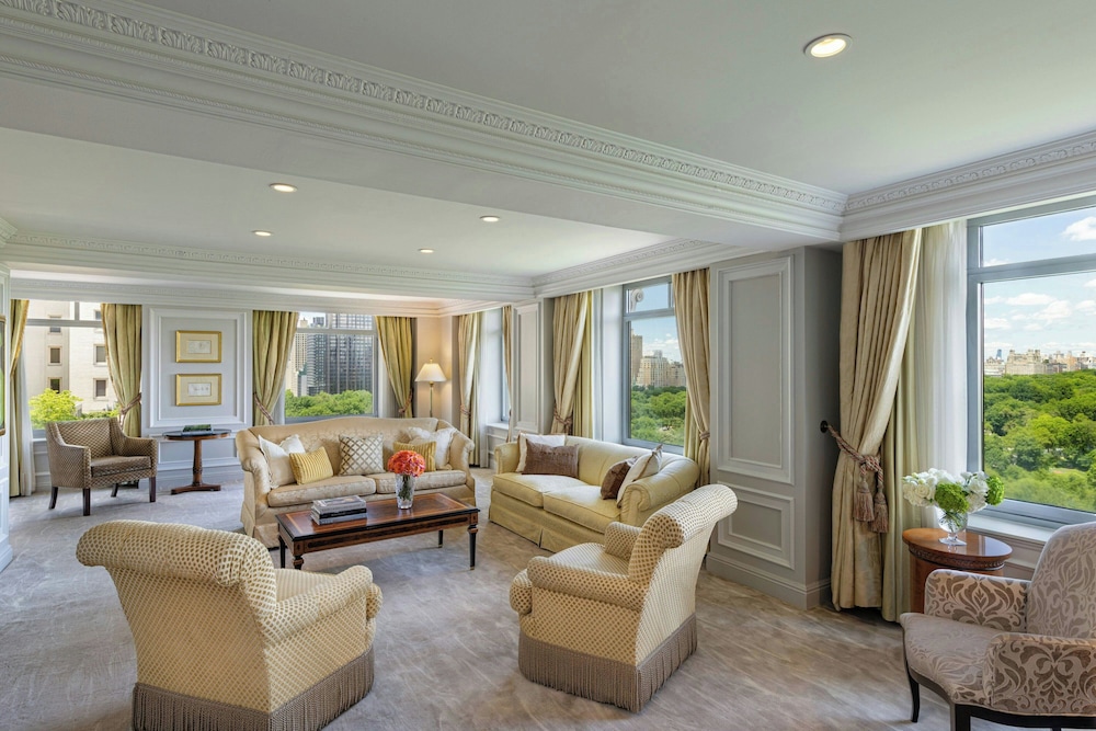 The Ritz Carlton New York Central Park - photo 48