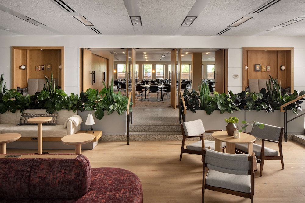 Hotel Marcel New Haven Tapestry Collection By Hilton - photo 7
