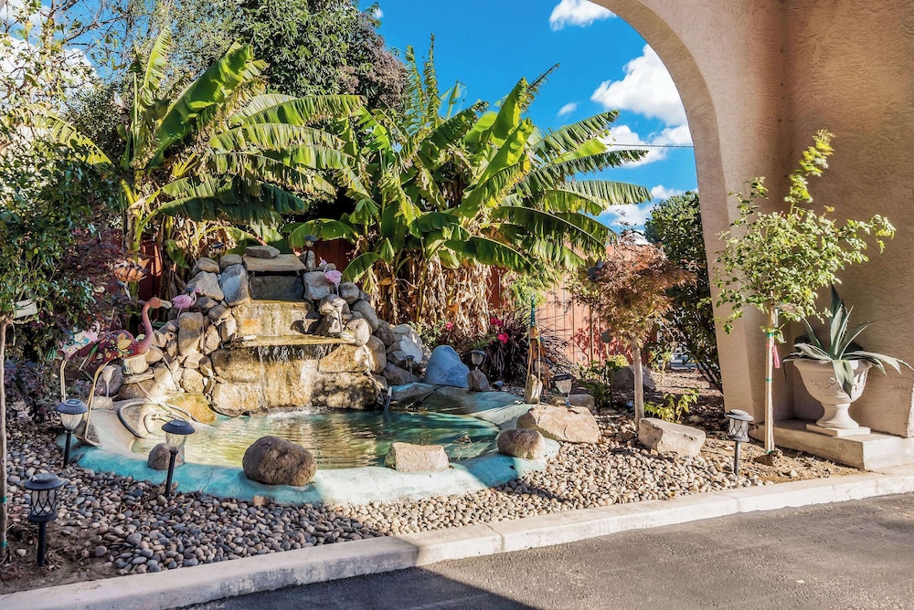 Quality Inn Near Fort Hunter Liggett - photo 47