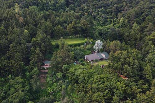 Cabaña en las Montañas de El Trifinio in Metapan, El Salvador