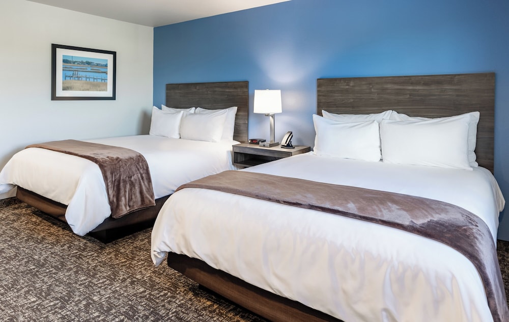 Sonesta Simply Suites Avondale - photo 12