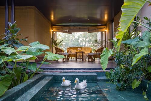 Elivaas Hari Bagh 4 Bhk Villa With Gaming Zone & Art Nook — 5-Star Luxury Hotel in Jaipur, India