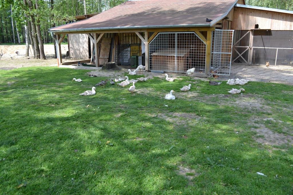 Pivovar Kocour in Varnsdorf, Czech Republic