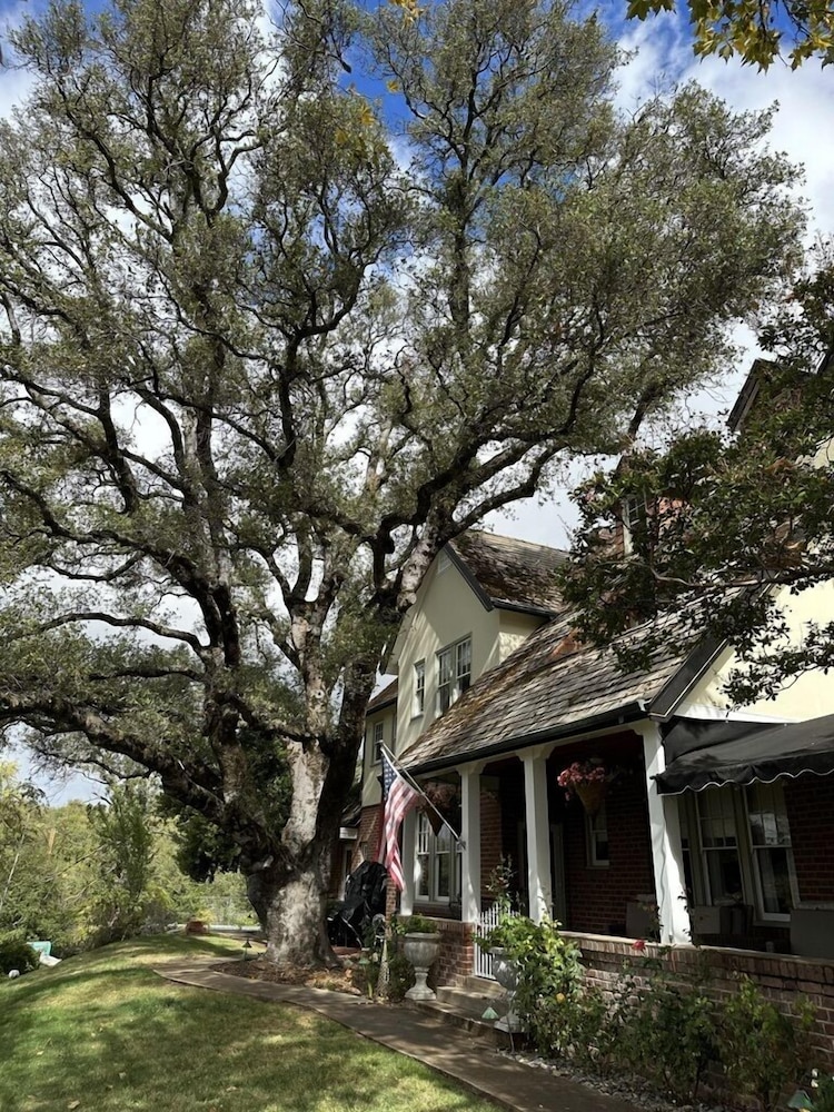 The Inn on Knowles Hill Bed & Breakfast Hotel - photo 98