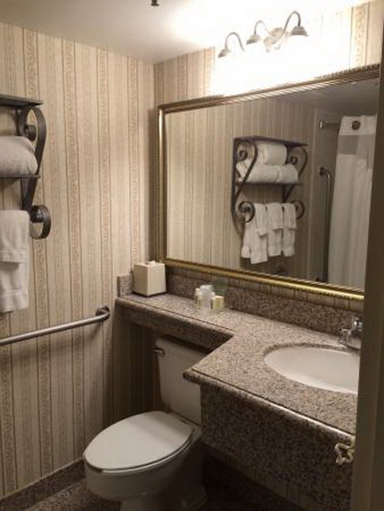 Holiday Inn Somerset - photo 13
