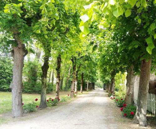 La Grange de Saint Martin Les Ecuries du Chateau St Martin pet-friendly hotel Mozac