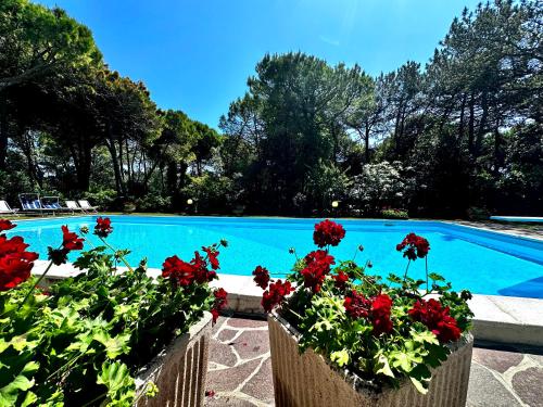 Villa sunshine with pool — 4-Star Luxury Hotel in Lignano Sabbiadoro, Italy