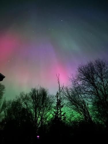 The Northern Lights Oasis — Wasilla
