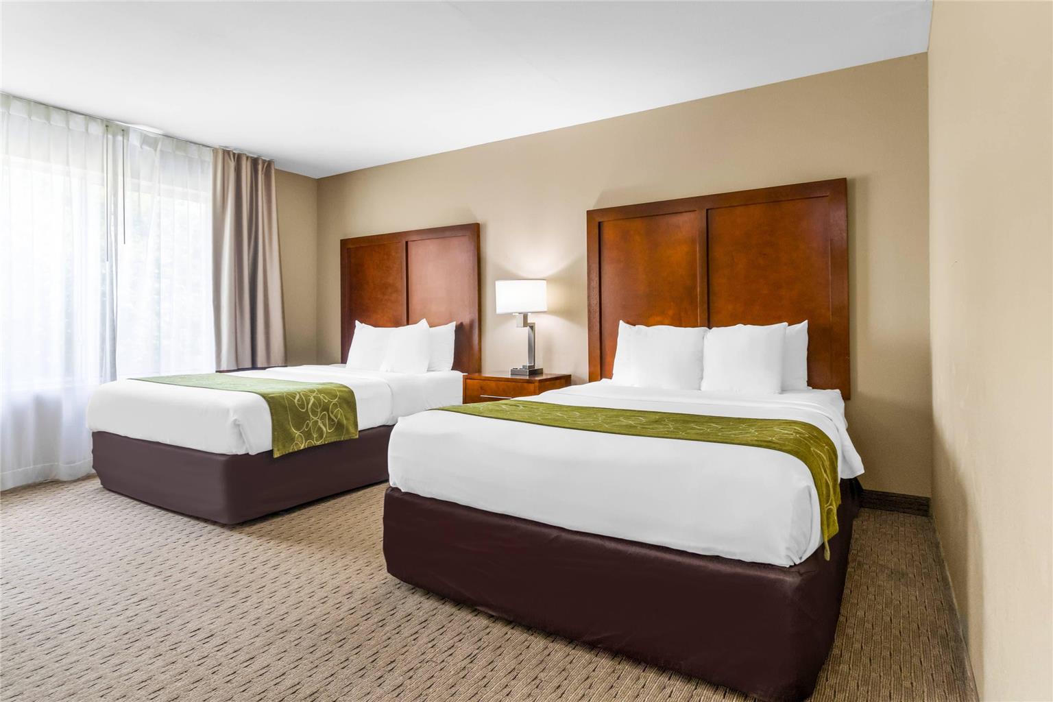 Comfort Suites Mount Vernon - photo 19
