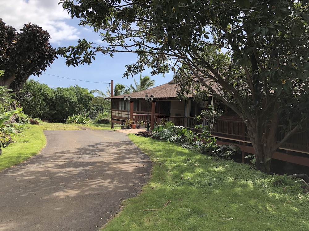 Hawaii Island Resort - photo 26