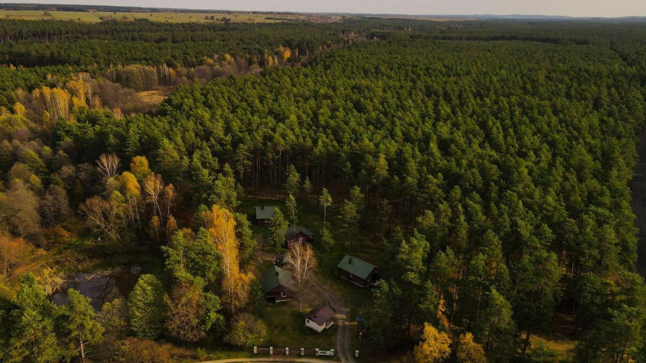 Domki Nad Tanwią in Susiec, Poland