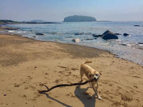 Corea Harbor's Black Duck Inn - photo 36