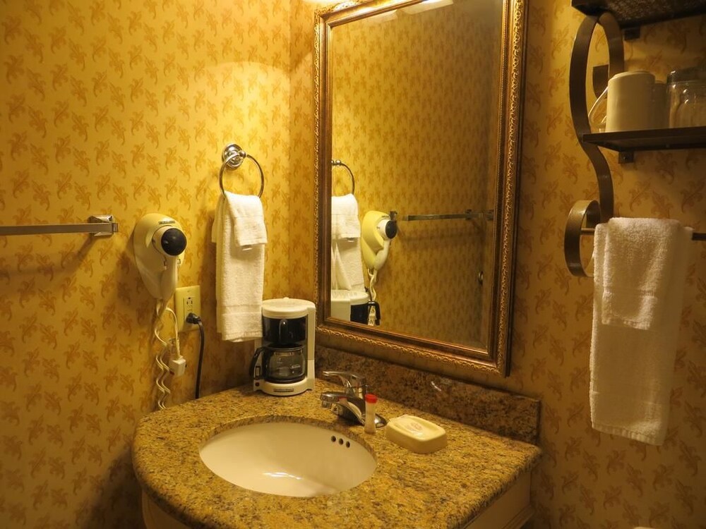 Ramada Dallas North - photo 23