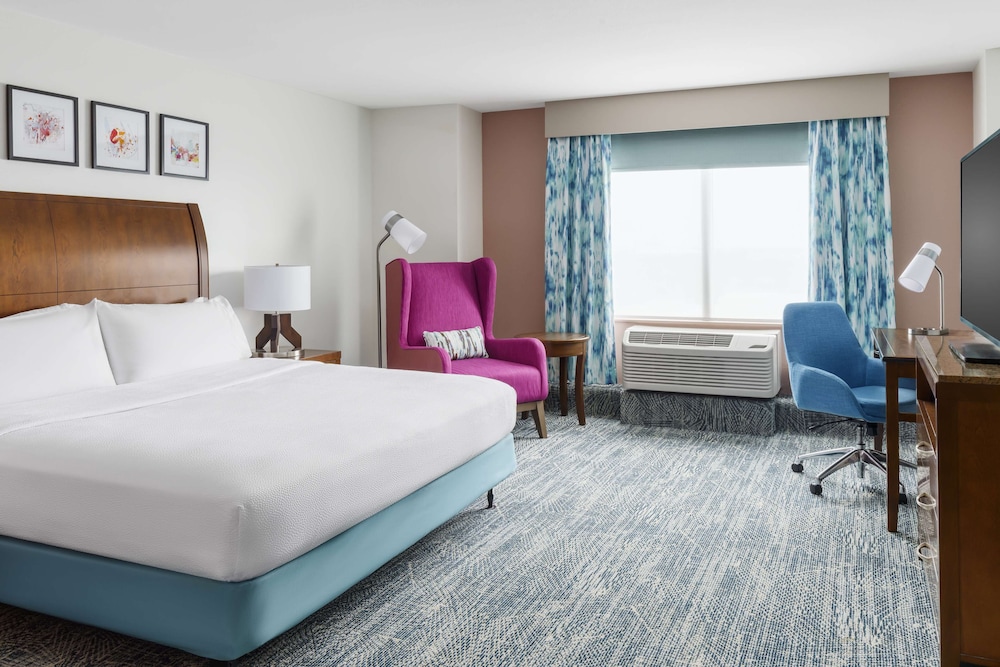 Hilton Garden Inn Orlando at SeaWorld - photo 14