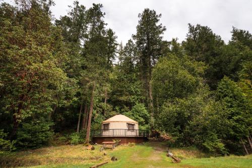 Redwood Meadows RV Resort and Cabins - photo 23