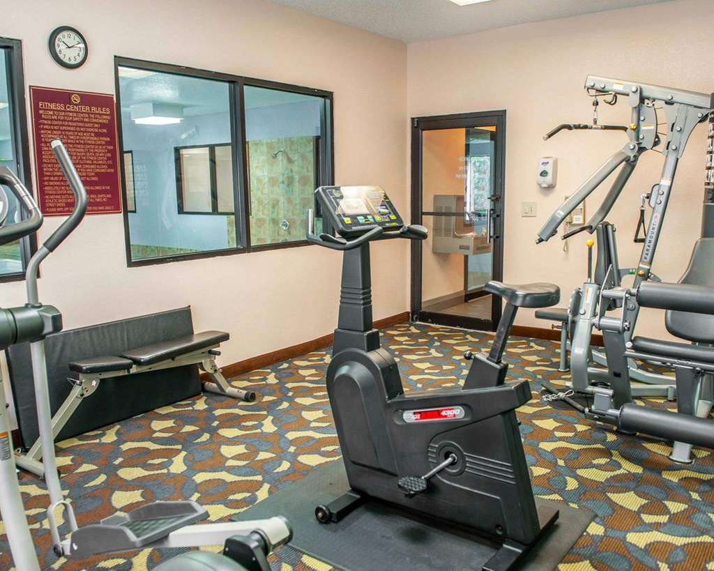 Quality Inn & Suites South Bend Airport - photo 33