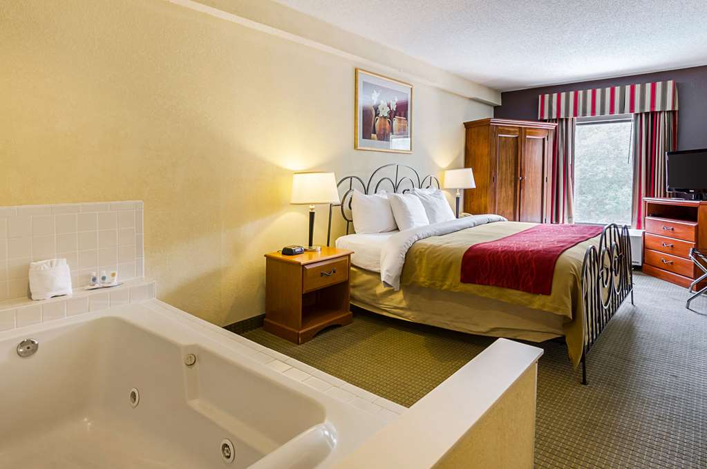 Quality Suites Altavista Lynchburg South - photo 21