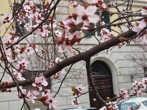 Home Rome Borsieri — 4-Star Luxury Hotel in Rome, Italy