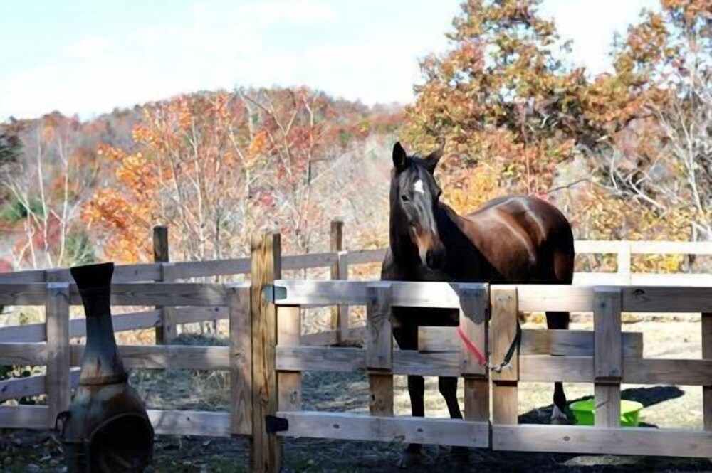 Happy Trails - photo 29