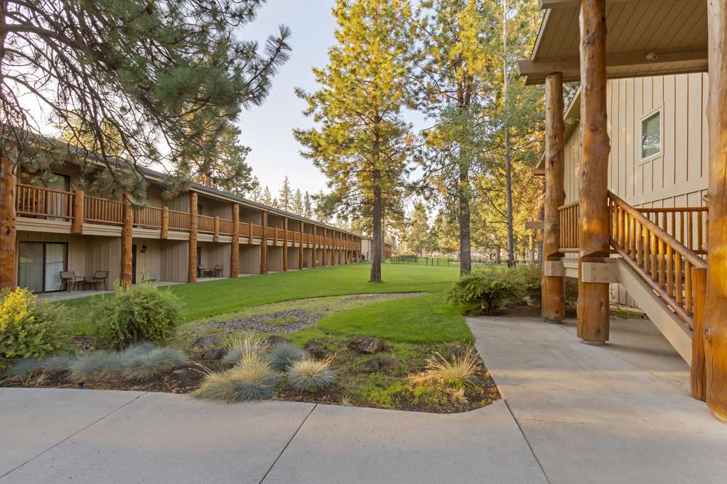 Best Western Ponderosa Lodge - photo 60