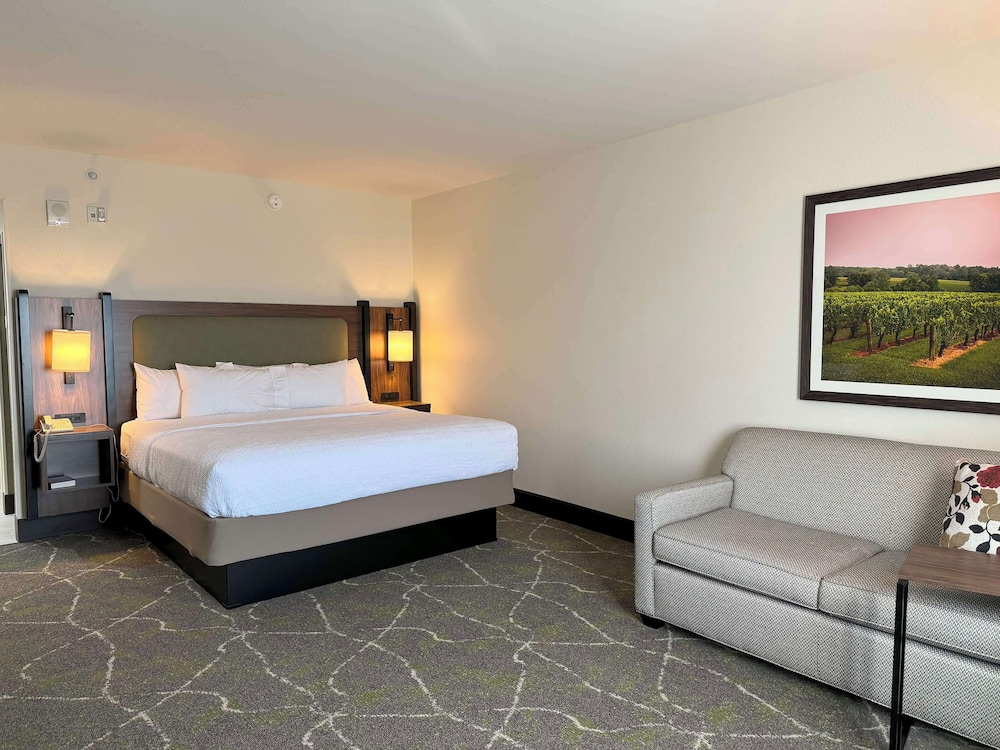 Hampton Inn and Suites Dobson - photo 13