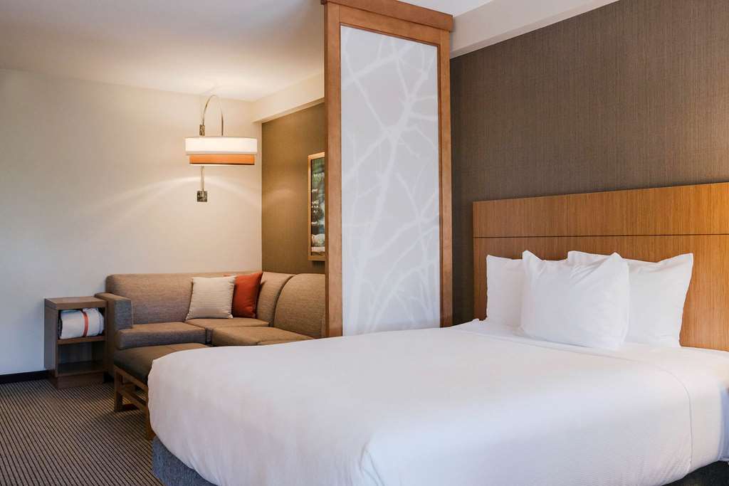 Hyatt Place Buffalo Amherst - photo 45