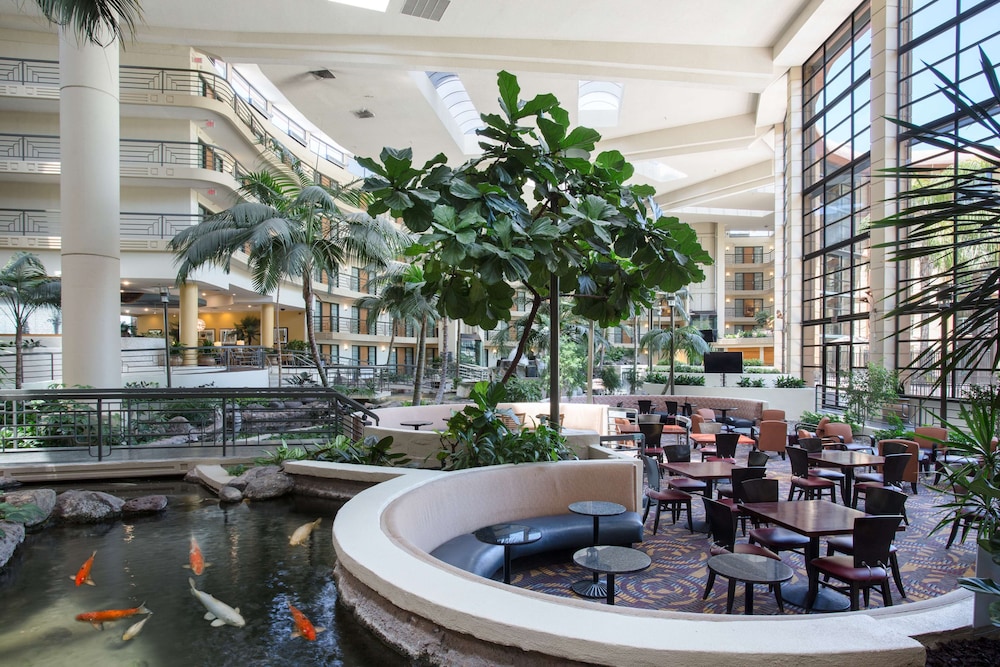 Embassy Suites by Hilton Phoenix Biltmore - photo 4