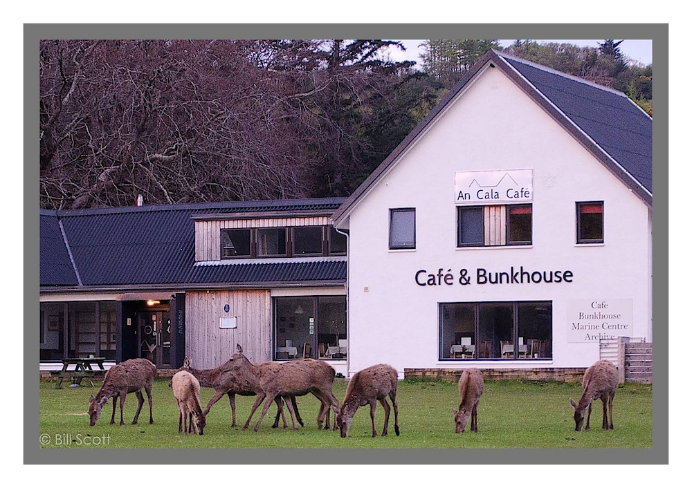 An Cala Cafe and Bunkhouse Hostel — 4-Star Luxury Hotel in Ullapool, United Kingdom