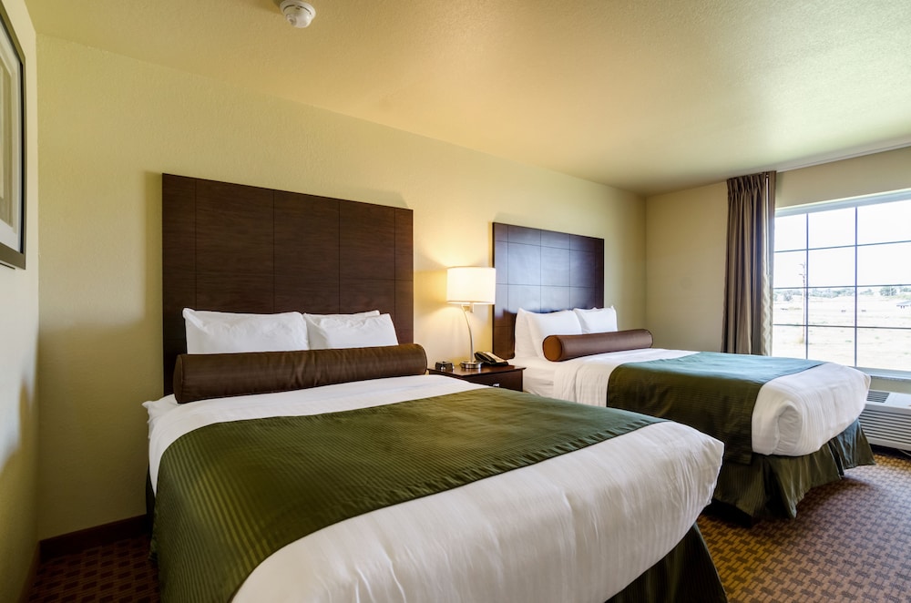 Cobblestone Hotel & Suites Jefferson - photo 5