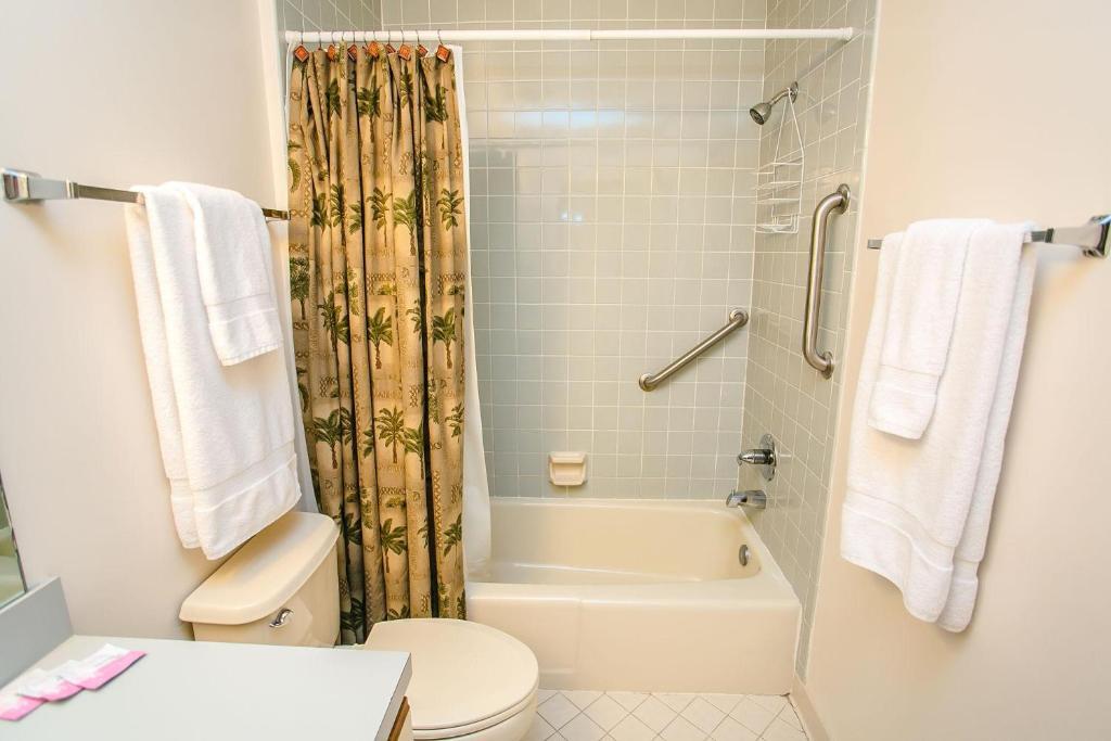 Hibiscus Resort H204 - photo 5