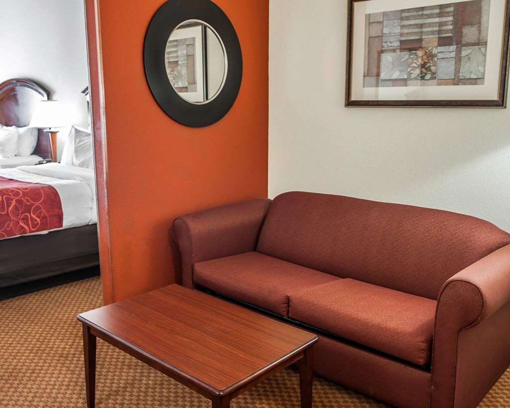 Comfort Suites near Indianapolis Airport - photo 26