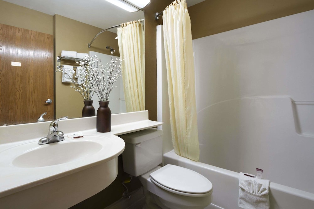 Microtel Inn & Suites by Wyndham Lithonia Stone Mountain - photo 24