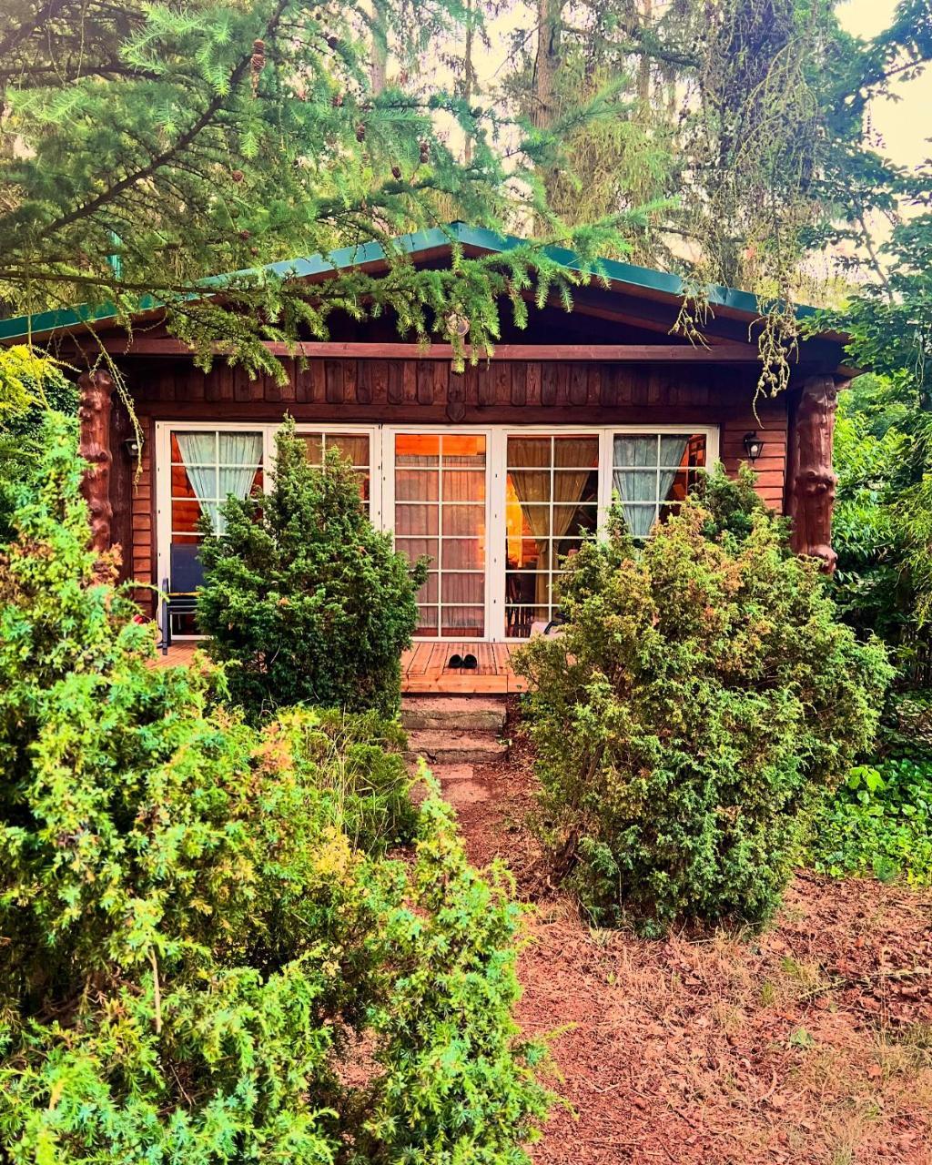 Holzhaus Bärenhöhle am Wald und See — hotel in Neuruppin