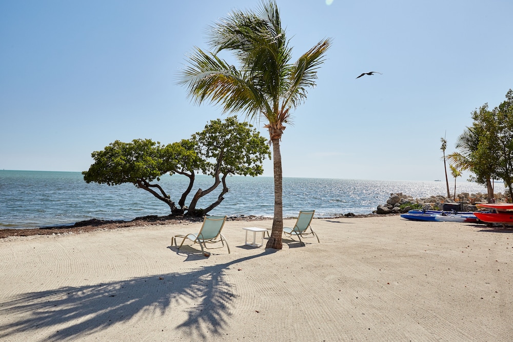 Seascape Resort & Marina - photo 200