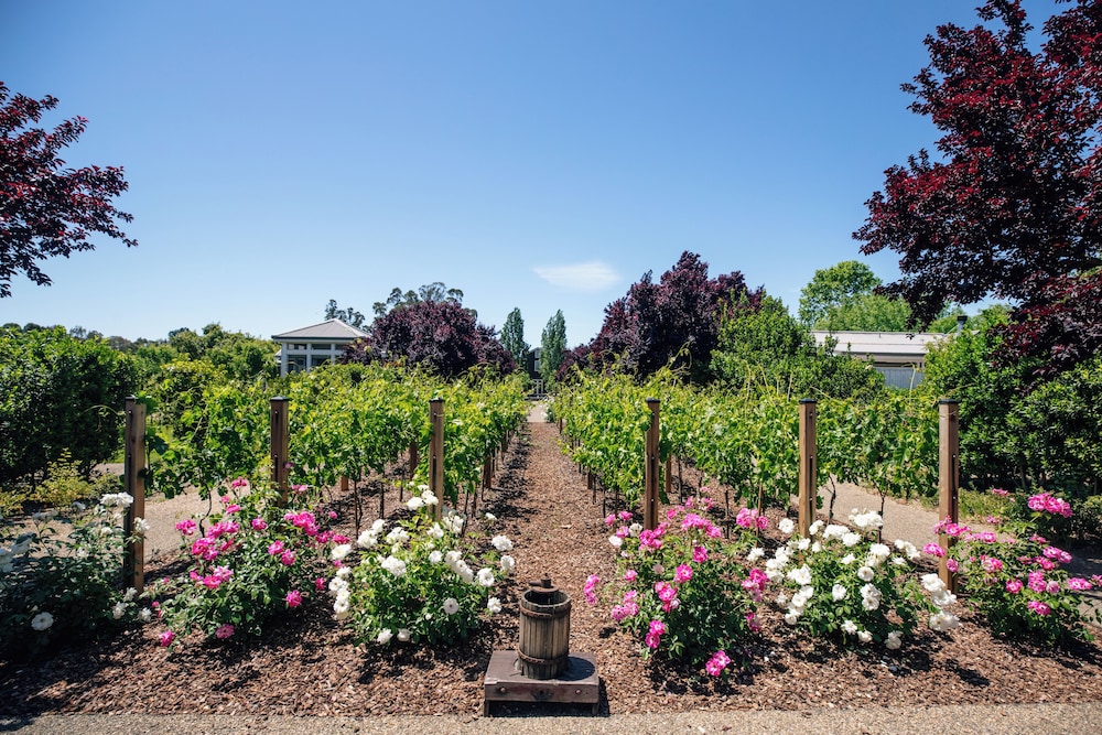 Carneros Resort and Spa - photo 82