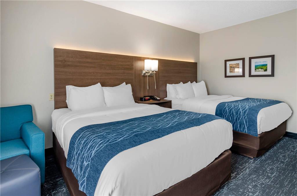Comfort Inn & Suites Troutville Roanoke North - photo 19