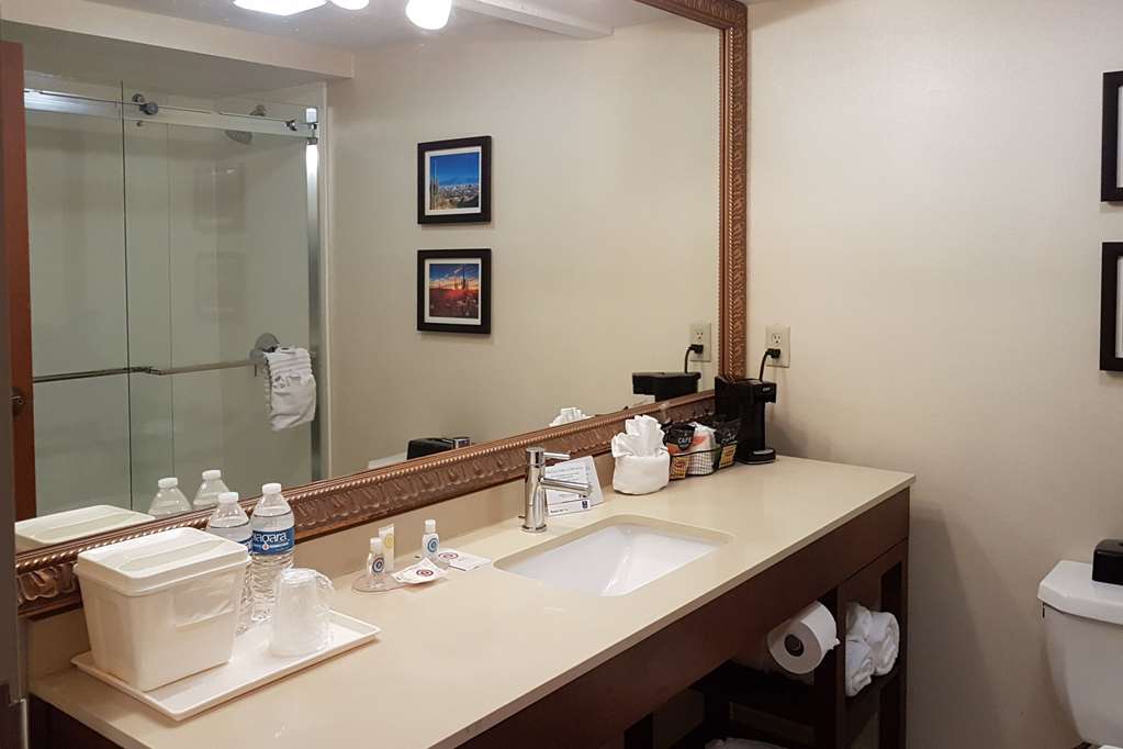 Comfort Inn I 10 West at 51st Ave - photo 9