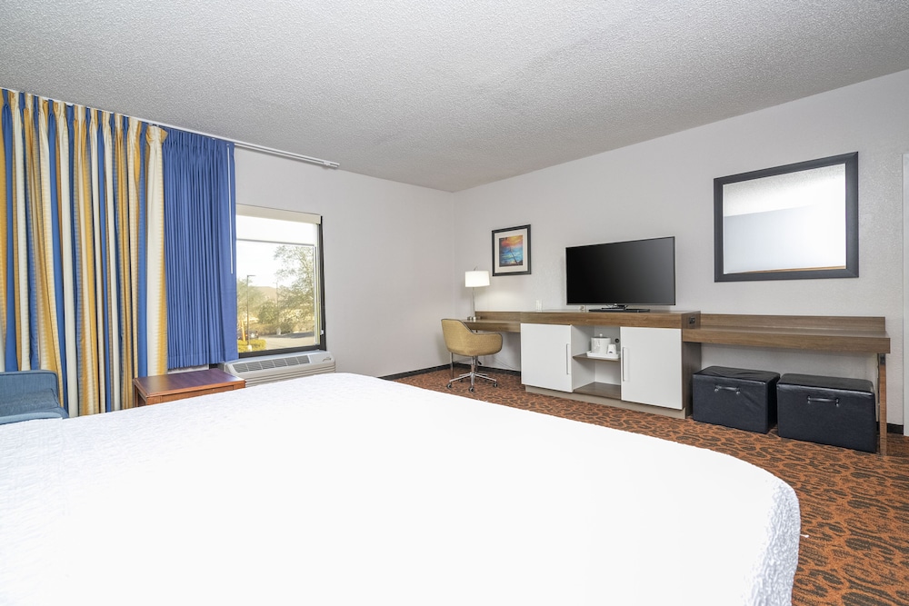 Hampton Inn Spring Hill - photo 16