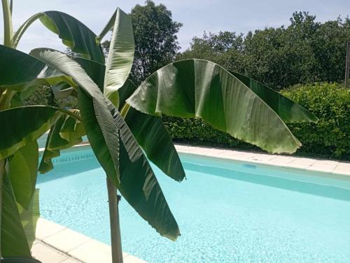 Gites Naturistes Perigord Rocamadour Sarlat Naturiste de Mi Mai a Septembre — hotel in Salviac